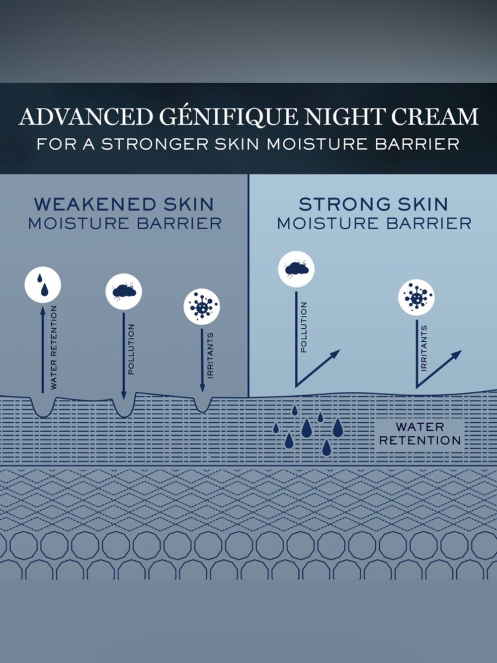 Lancôme Advanced Génifique Night Cream - Picture 8 of 8